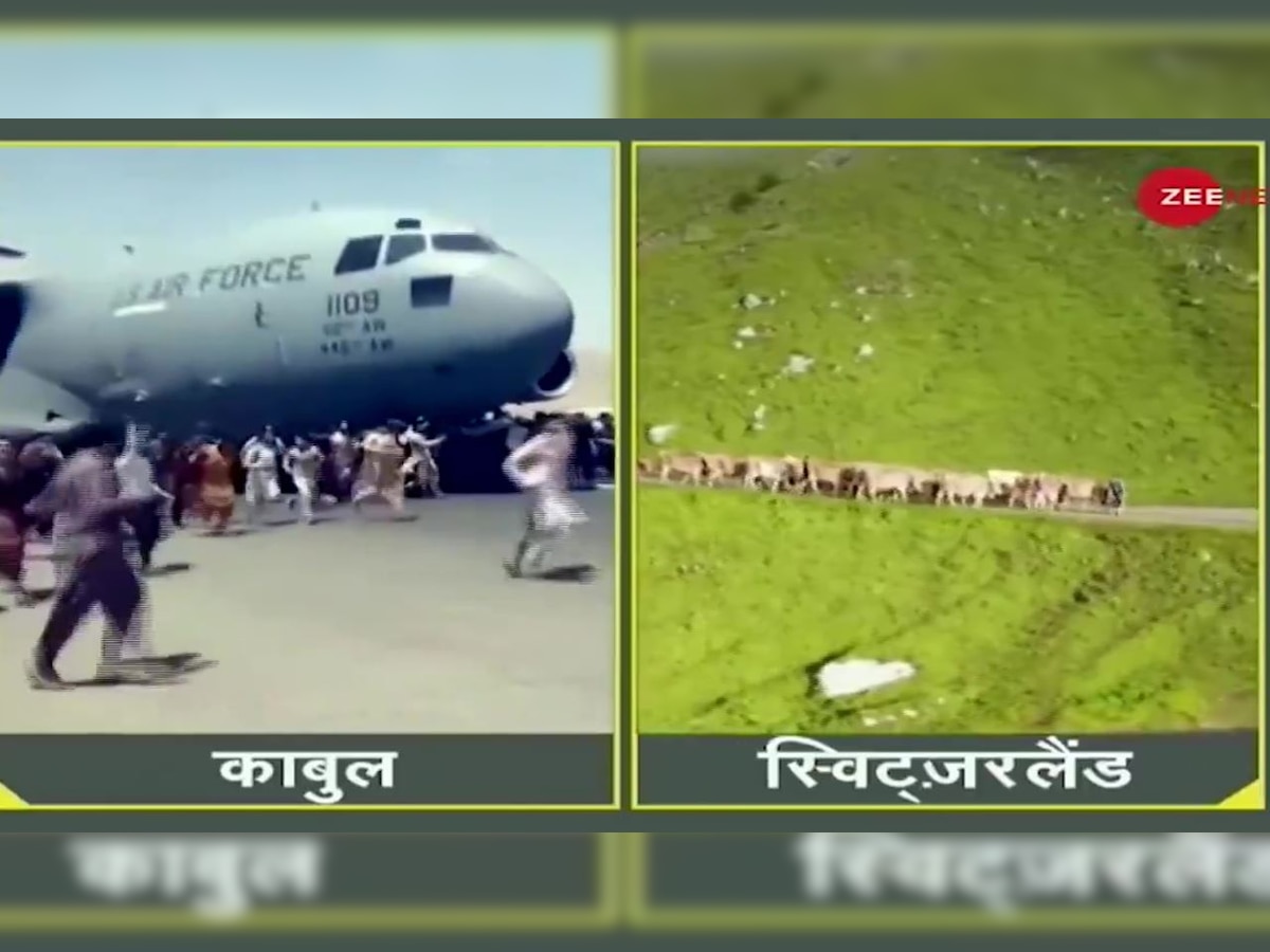 DNA Special: Helicopter for cows, death for humans?