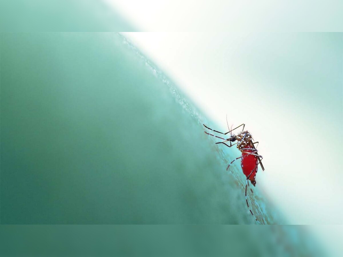 Gautam Budh Nagar reports 13 dengue cases in three days, health department on alert