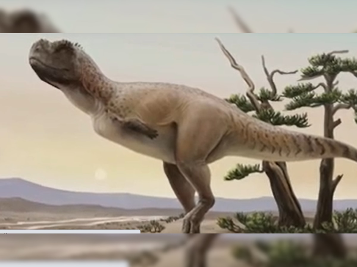 New dinosaur species that roamed 70 million years ago found in Brazil