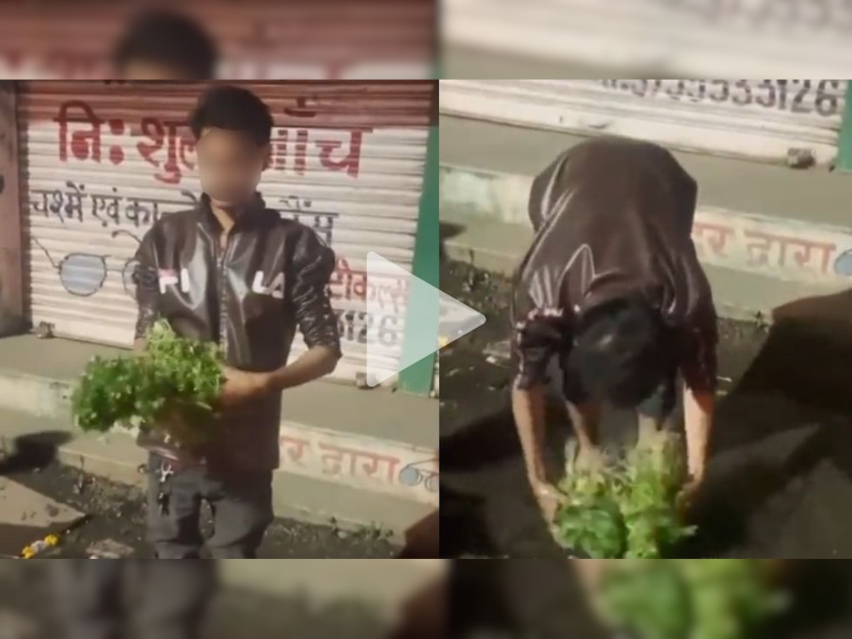 Video of vegetable seller washing coriander in drain water goes viral, WATCH