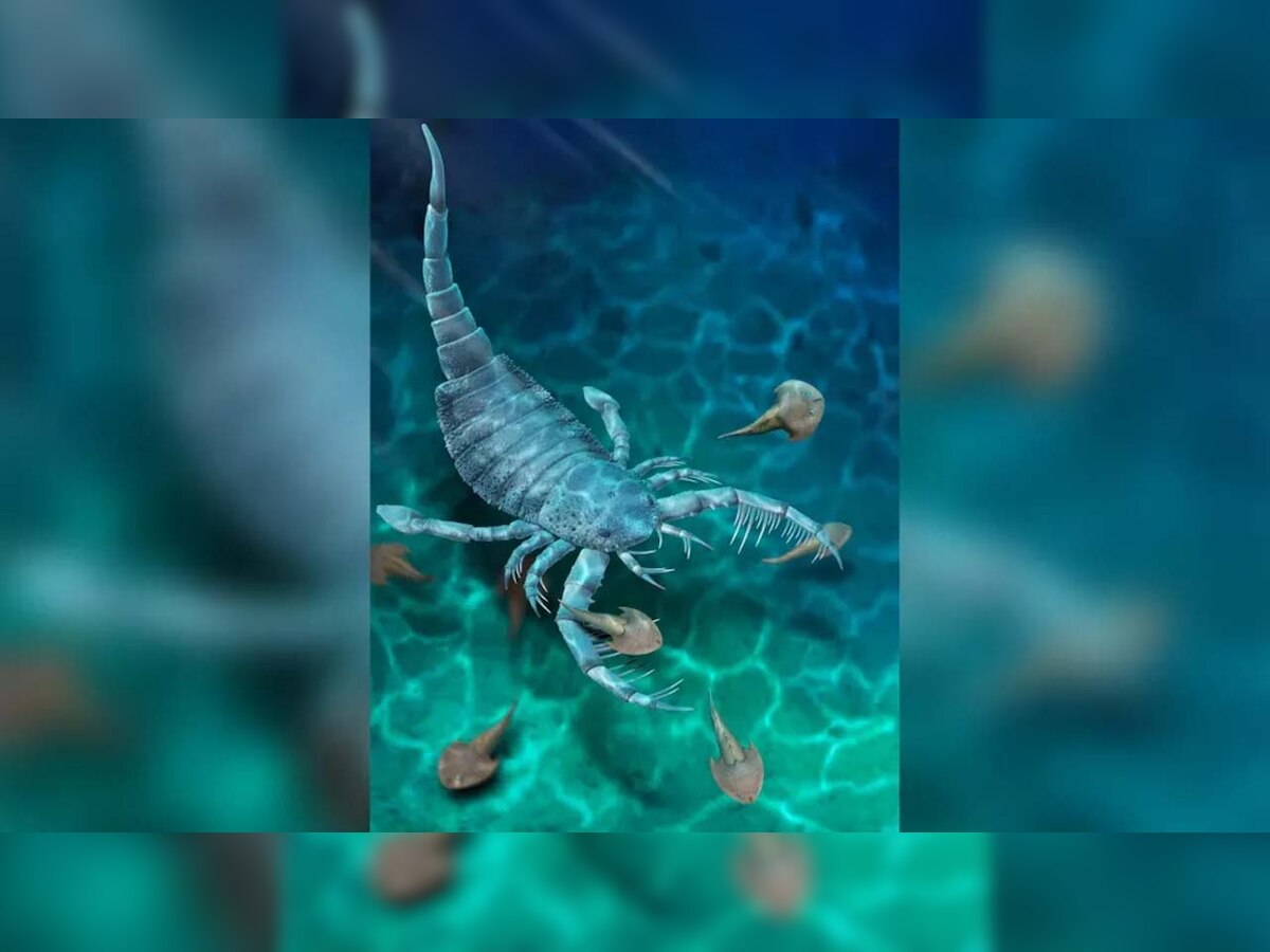 Dog-sized sea scorpions existed 400 million years ago, says study