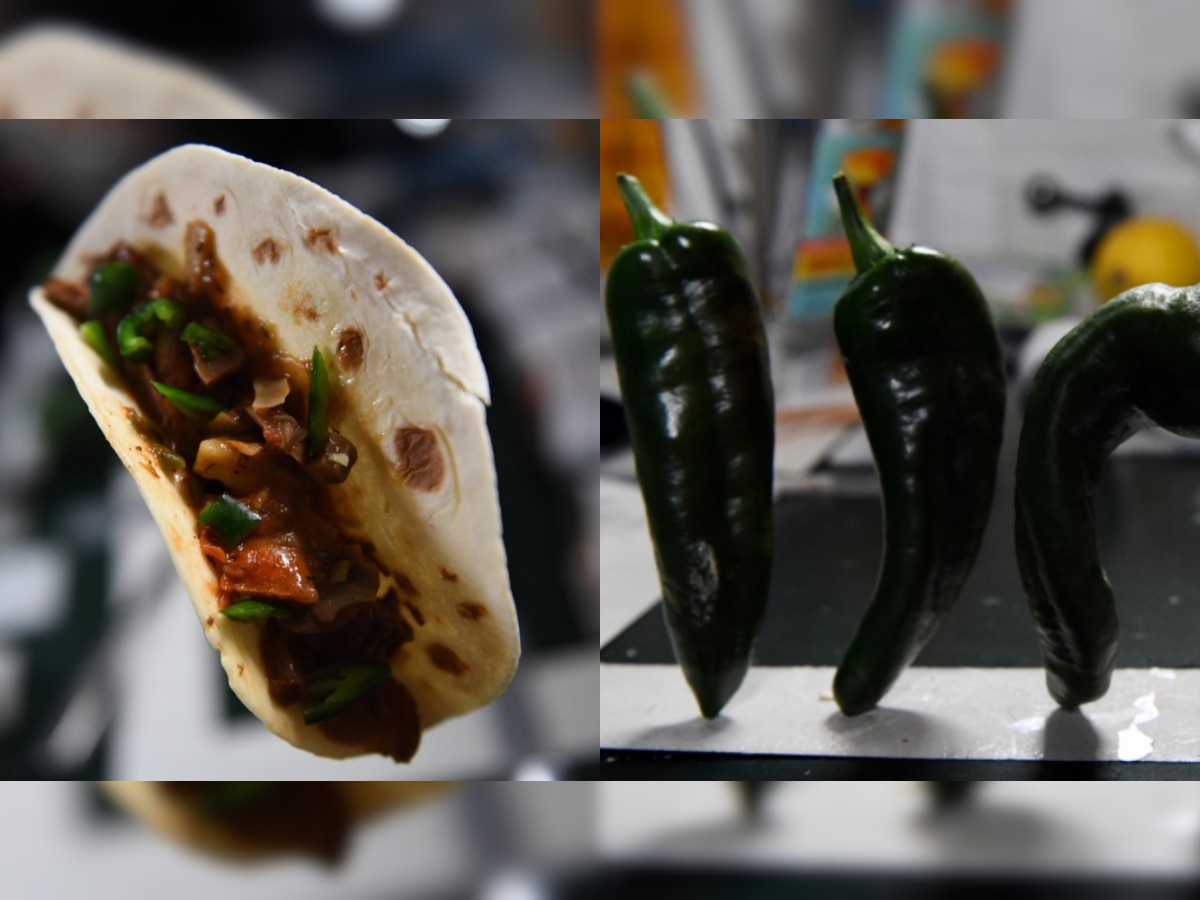 ‘Best space tacos yet’: Astronauts make tacos with first chili peppers grown aboard ISS