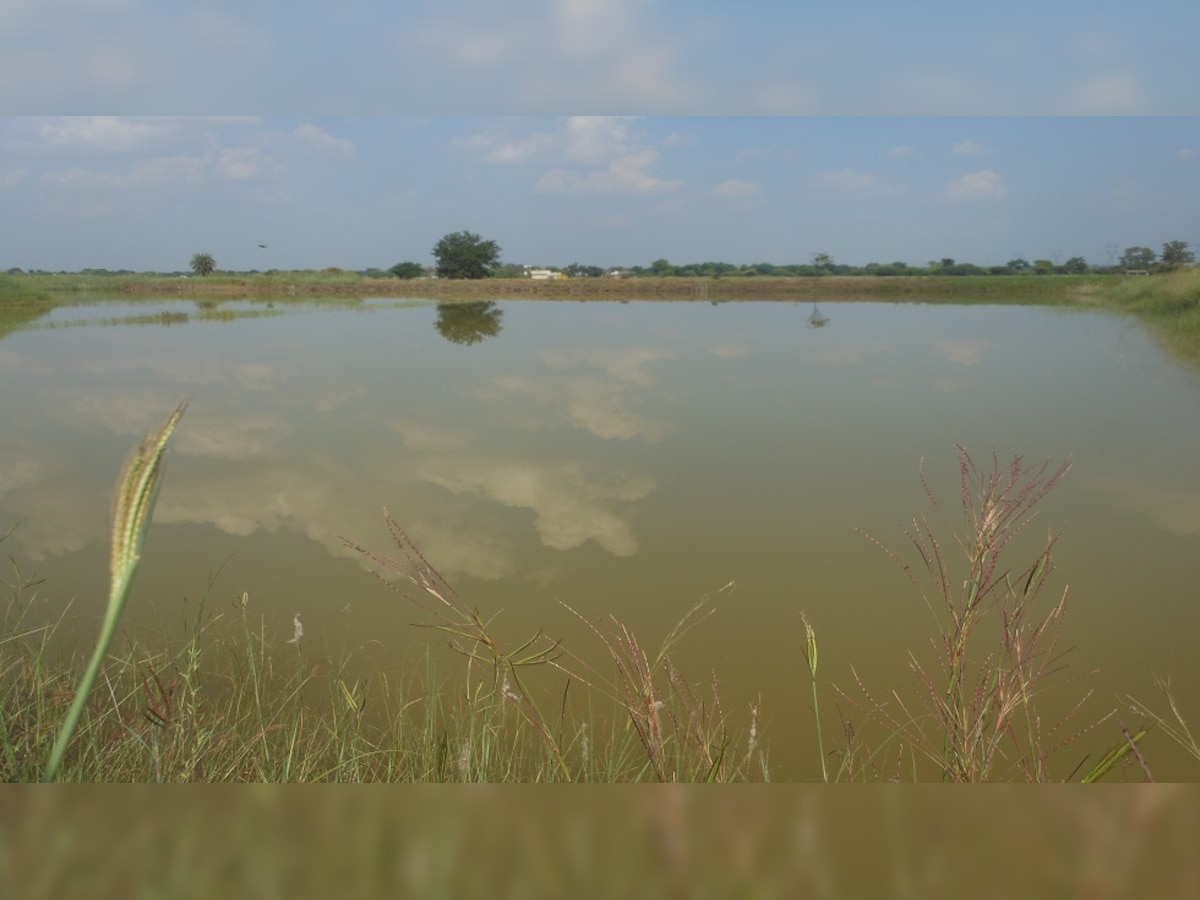 इस कलेक्टर ने हजारों तालाब बनवाकर मालवा की धरती में फूंके प्राण