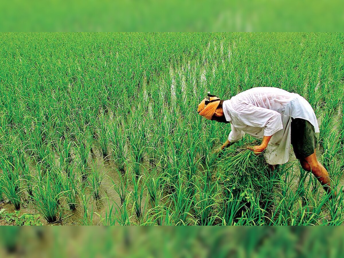 PM Kisan scheme: Farmers to get Rs 3000 monthly pension - Details here