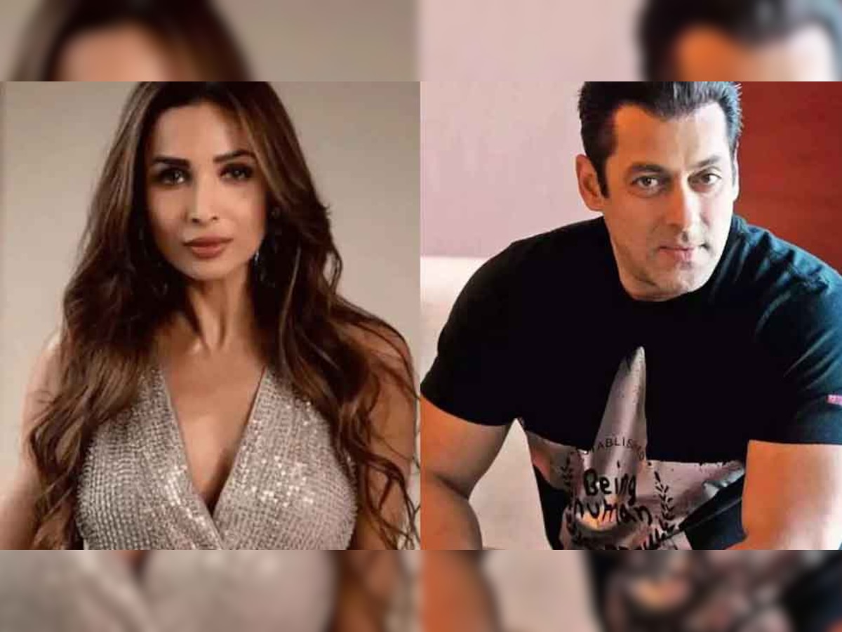 'Salman Khan ne mujhe nahi banaya hai': When Malaika Arora replied angrily to 'item girl' remarks