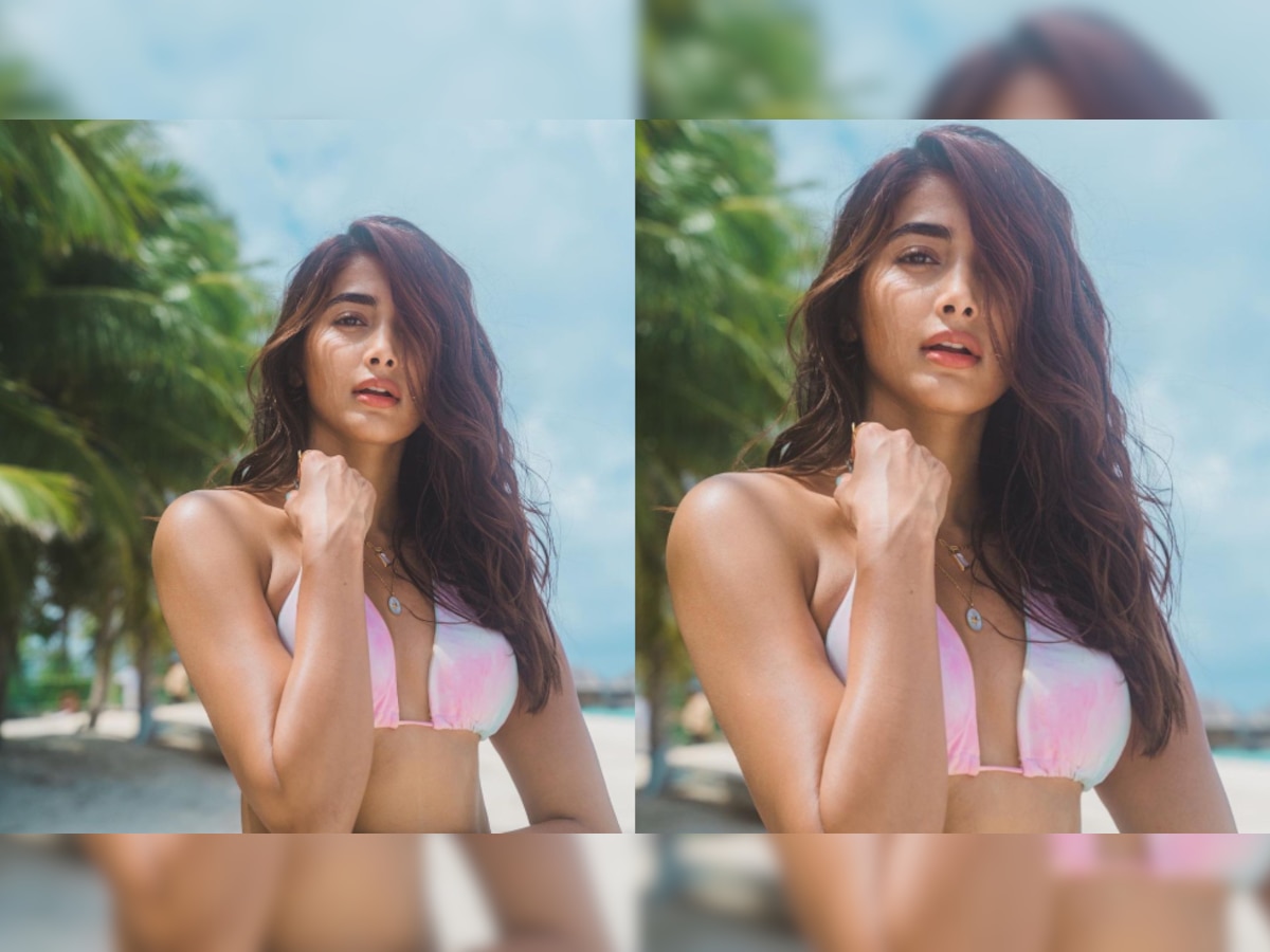 1200px x 900px - Pooja Hegde sets internet on fire in multi-coloured bikini top, shares  jaw-dropping pic