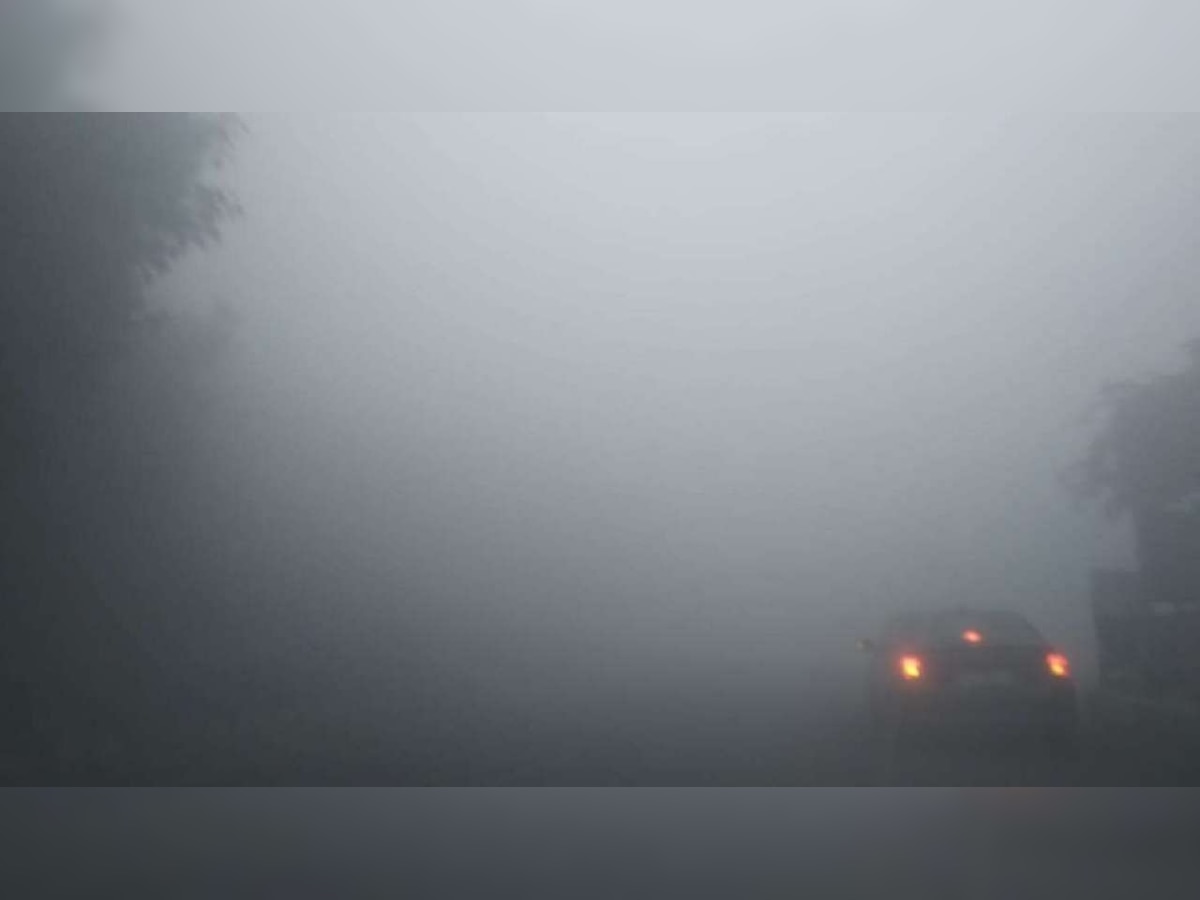 IMD forecasts light to moderate rain, dense fog in THESE states in the next 4-5 days