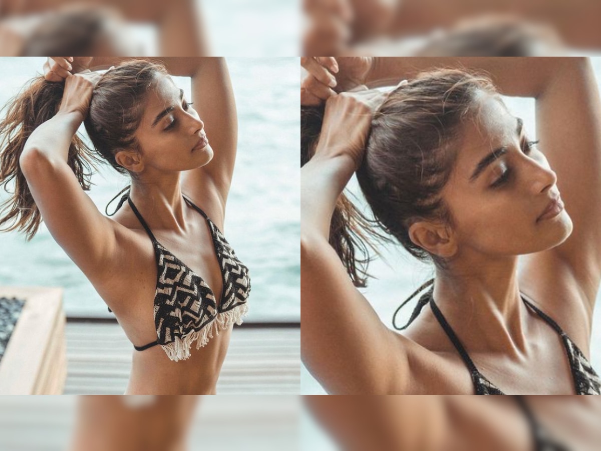 Pooja Hegde Xxx Video - VIRAL! Pooja Hegde burns the internet with her latest bikini picture
