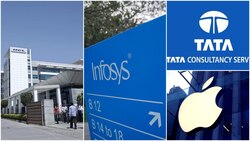 Amid Omicron cases surge, 'work from home' for IT giants like TCS, Infosys, HCL?