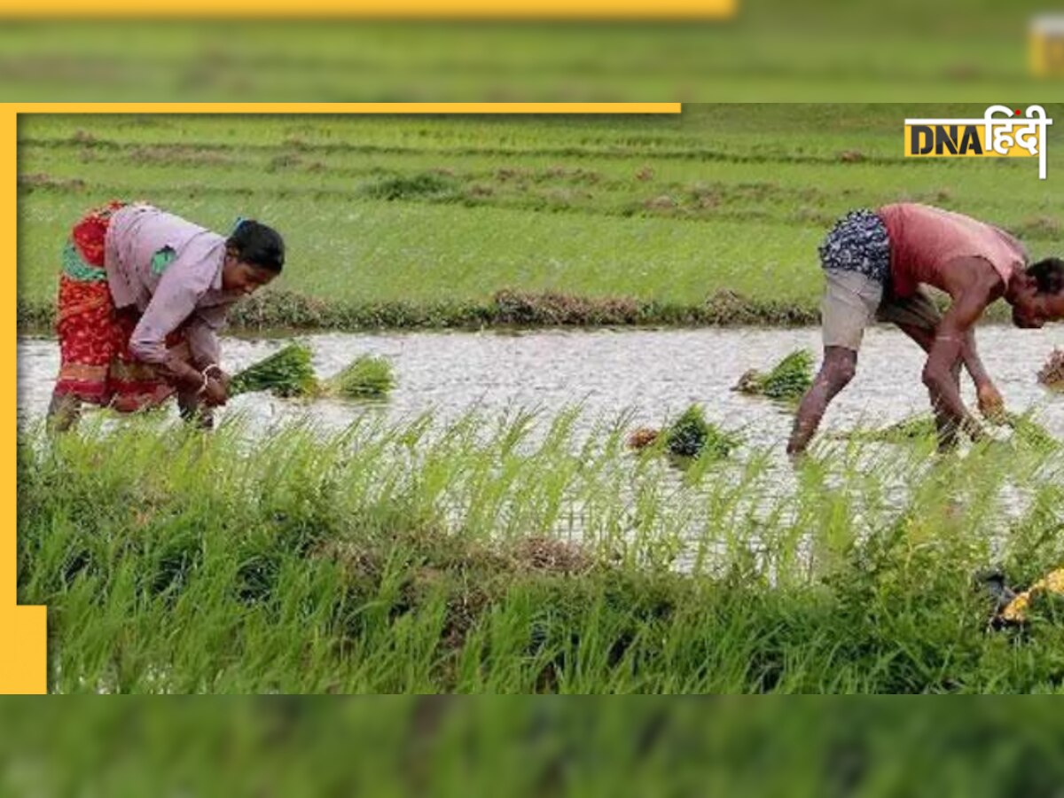 Farmer's Story: टुकड़ों में जीवन जीने वाला किसान हर चार महीने में एक नया जीवन जी लेता है