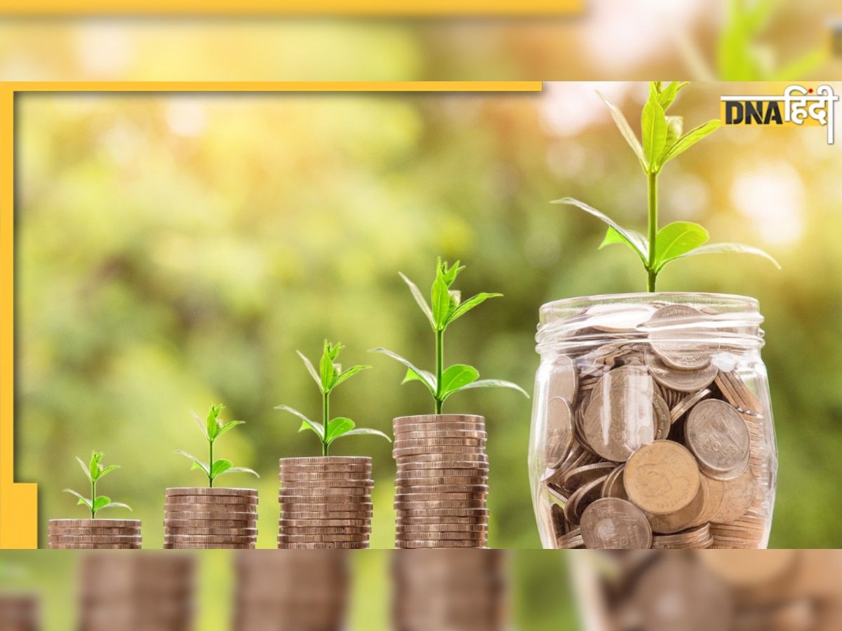Money Making Tips: पैसे कमाने हो तो अपनाएं ये तरीके!