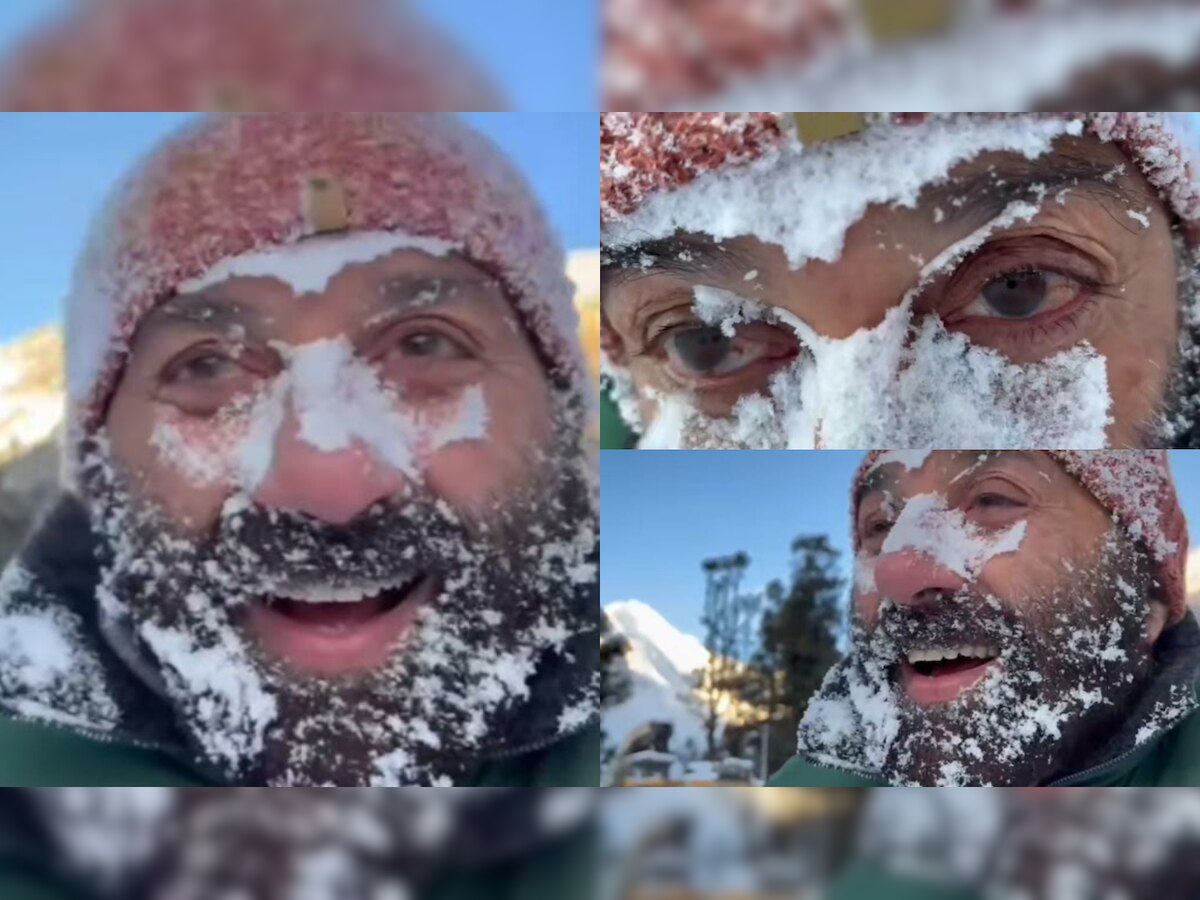 Sunny Deol shares his 'icing on the cake' moment, video goes VIRAL
