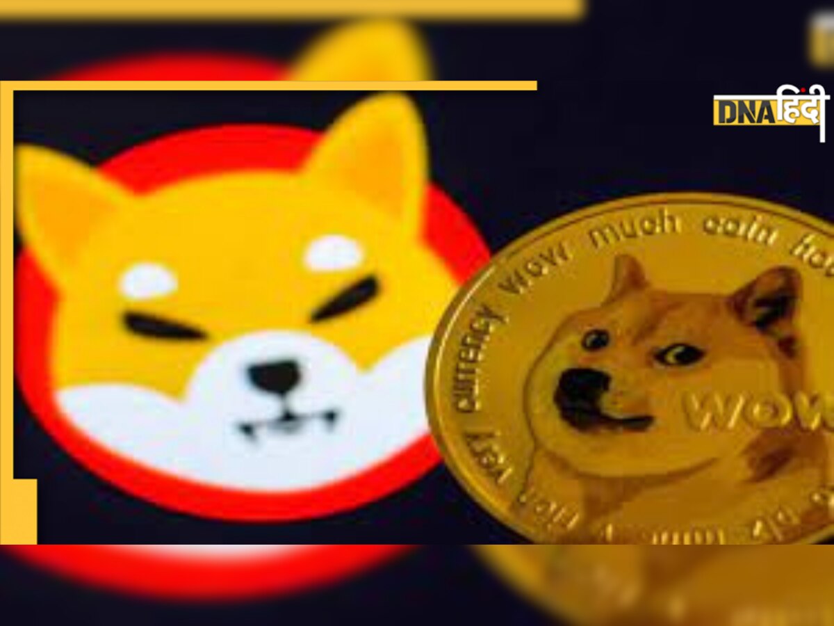 Shiba Inu: एक साल में निवेशकों को बनाया करोड़पति, जानिए कैसे?