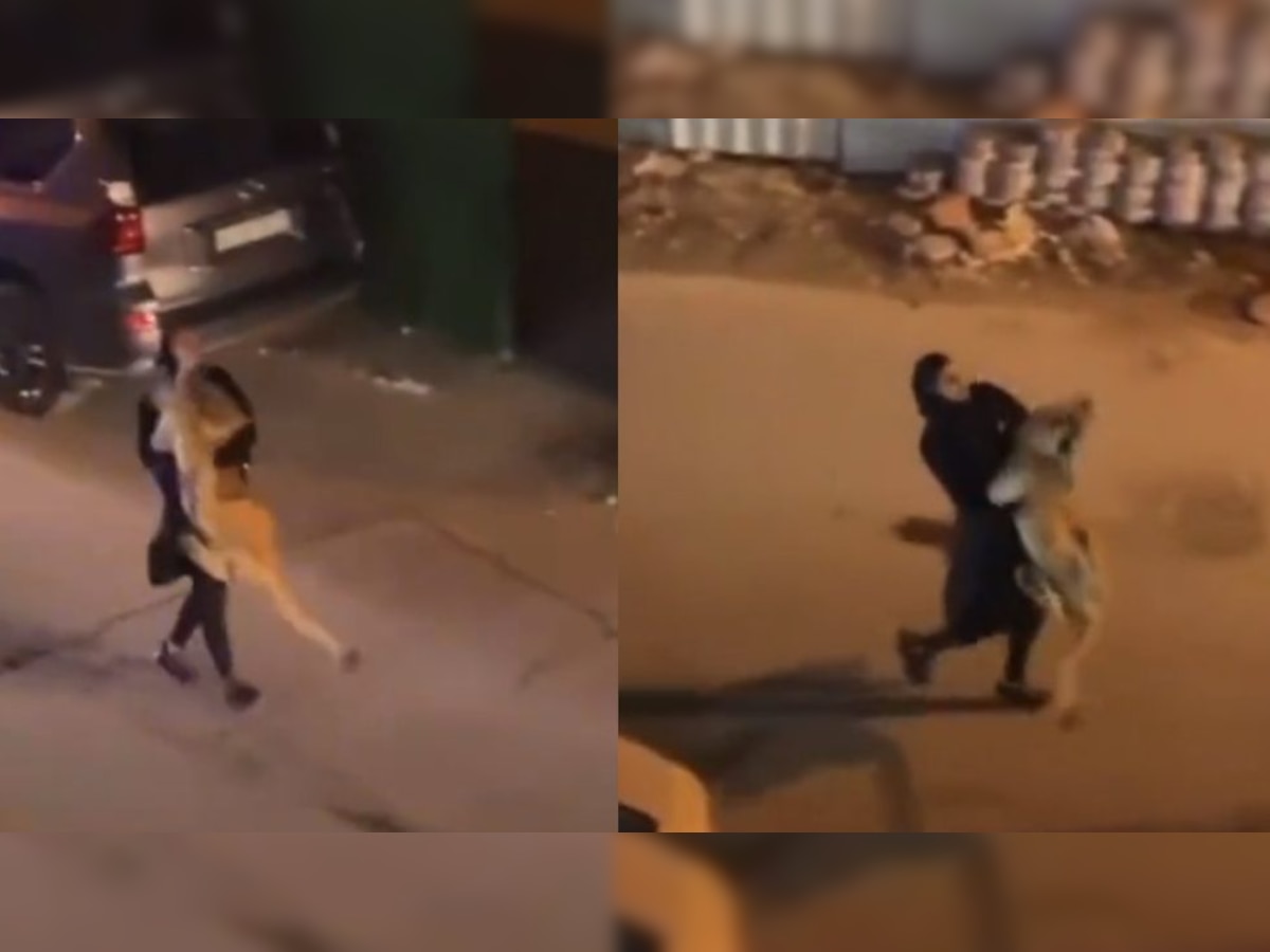 Woman carries a lion in her arms in viral video, leaves netizens stunned - WATCH