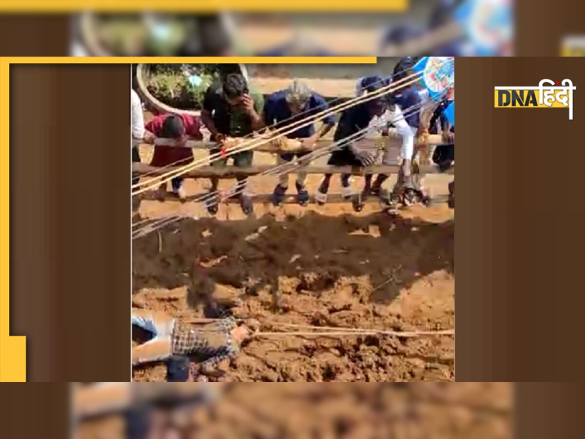 Jallikattu दौड़ देखने आए युवक को बैल ने यूं घसीटा, देखकर आंखे खुली रह जाएंगी