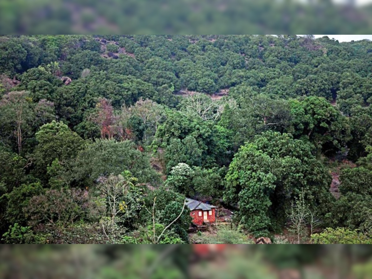 These are the Indian states with the largest forest cover