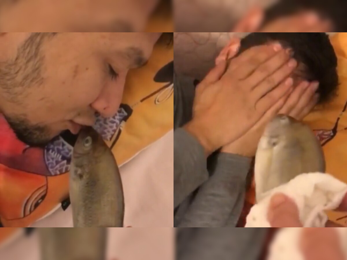 Wife hilariously pranks husband using dead fish in viral video - WATCH what happened next