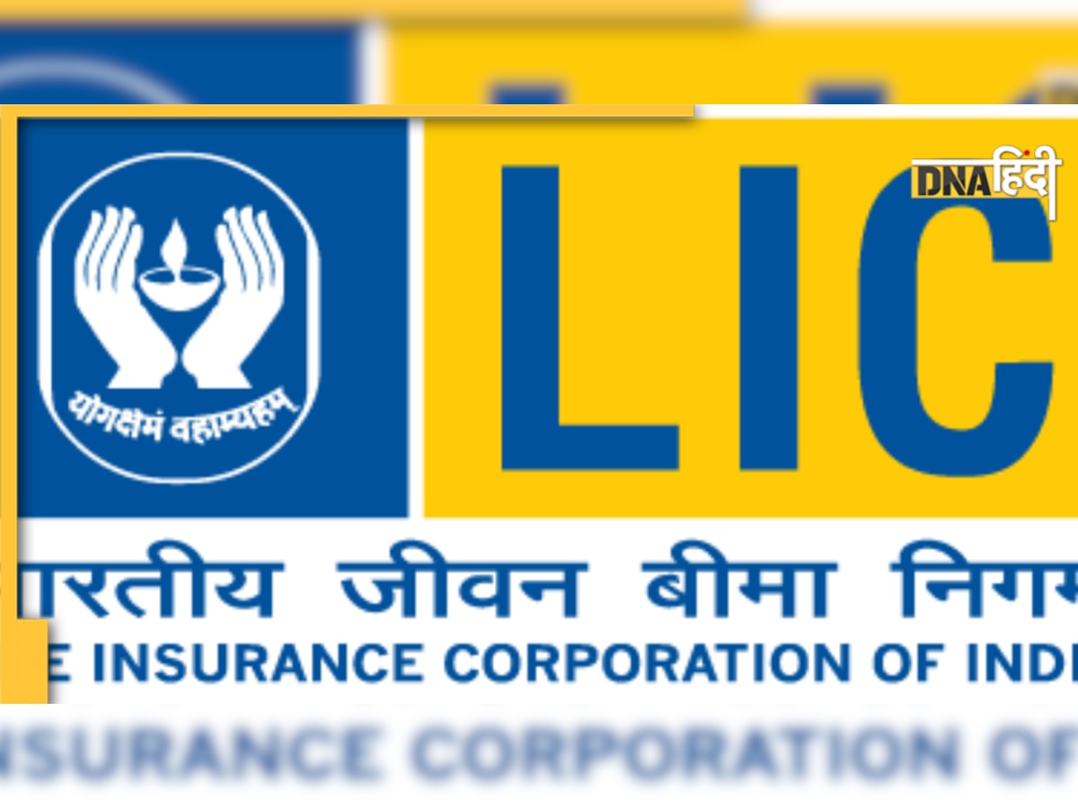 LIC: IPO में निवेश करने से पहले जानें और किस प्रोडक्ट में है यह कंपनी? 