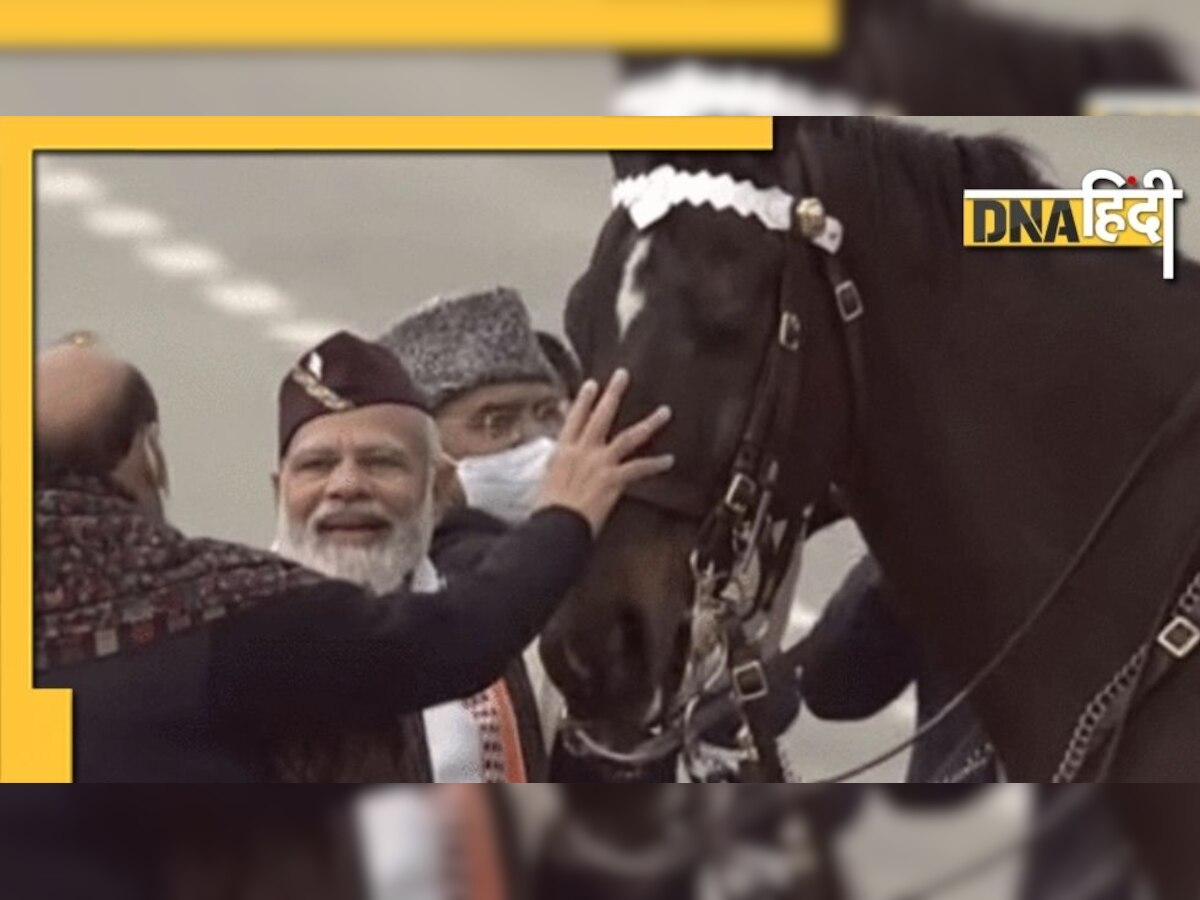 VIDEO: 19 साल की सर्विस के बाद रिटायर हुआ Horse Virat, PM Modi ने ऐसे कहा Good Bye