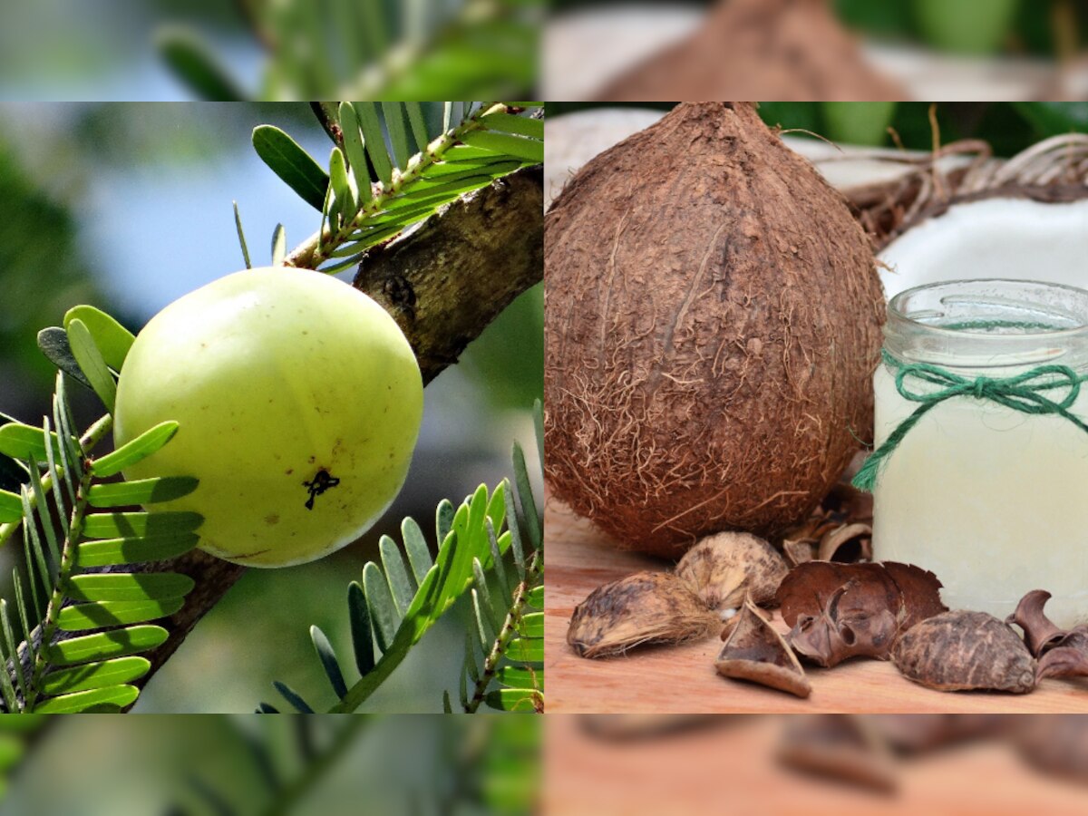 From Amla to Coconut: Five superfoods to consume for thyroid health