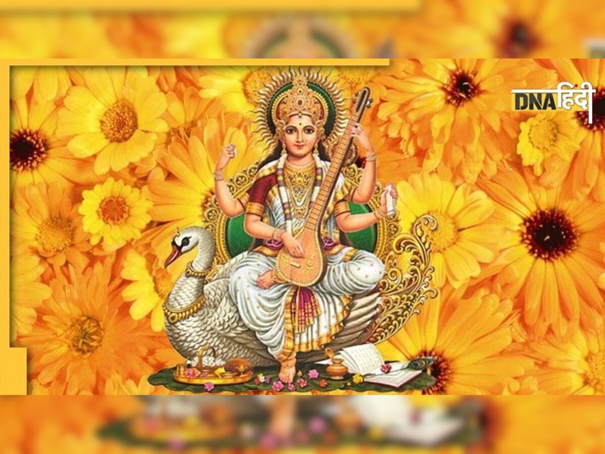 Sarasvati Puja 2022: बसंत पंचमी के दिन क्यों पहने जाते हैं पीले रंग के कपड़े? 