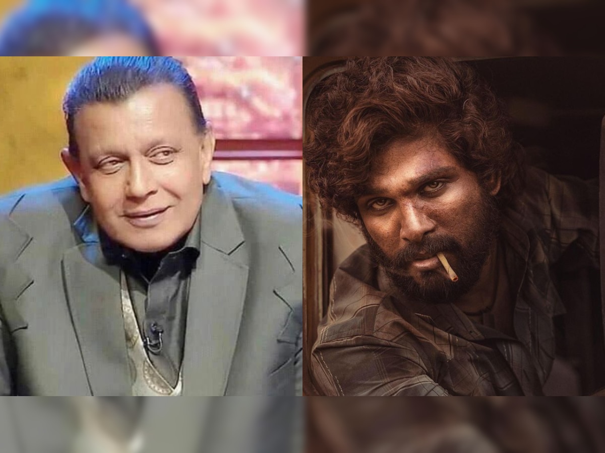 Mithun Chakraborty feels Allu Arjun’s ‘Pushpa’ is similar to movies he did in the 90’s