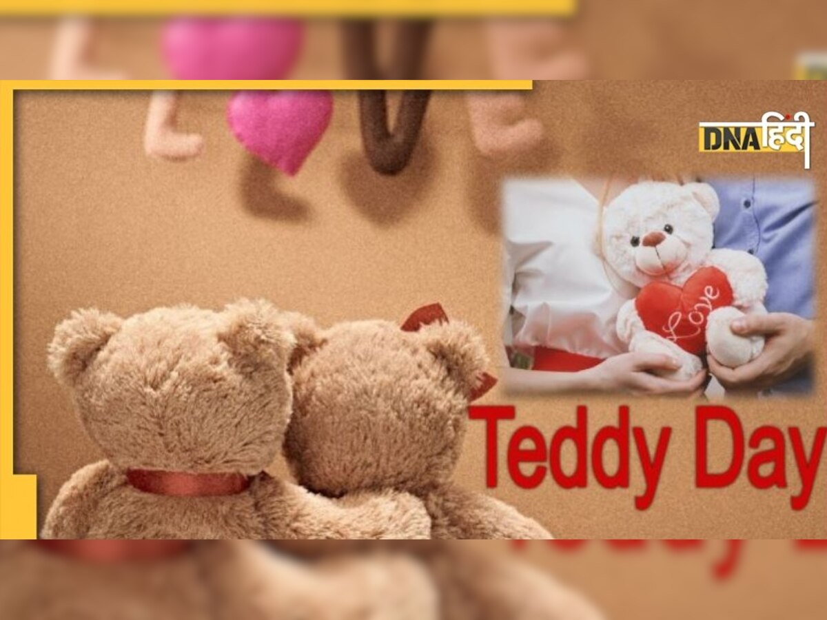 Teddy Day Special: प्यार और स्टफ्ड टॉय का क्या है नाता, क्या आप जानते हैं क्यों मनाया जाता है टेडी डे?