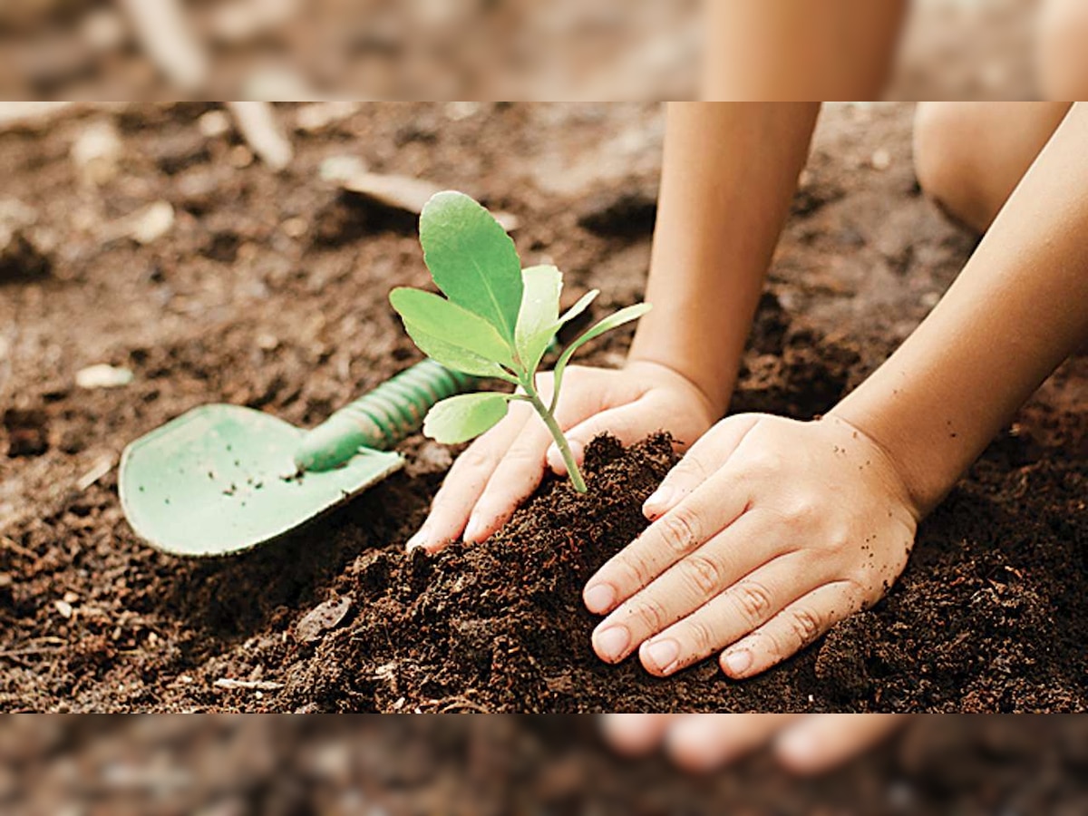 Delhi to plant one lakh saplings under 'Green India Challenge' 