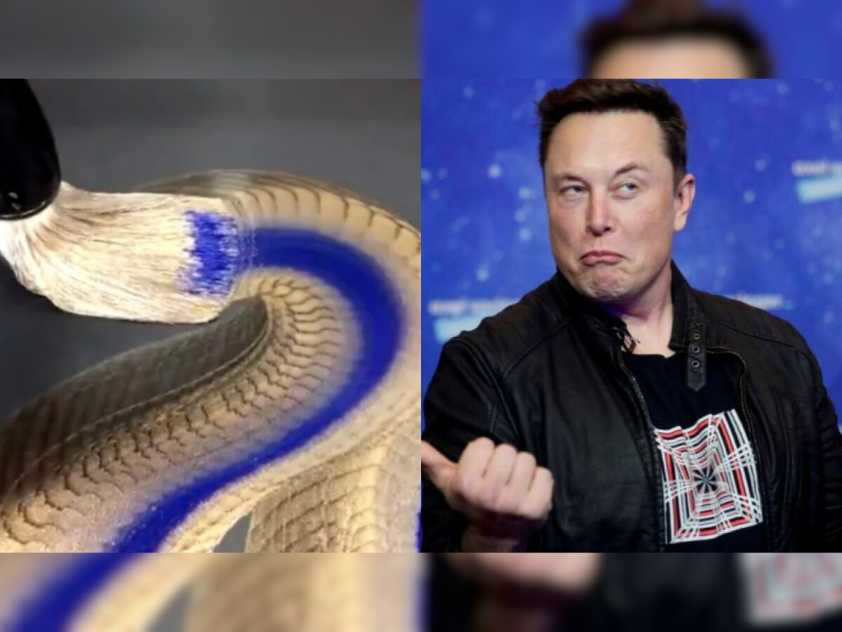 Elon Musk is impressed by this Japanese artist - Know why