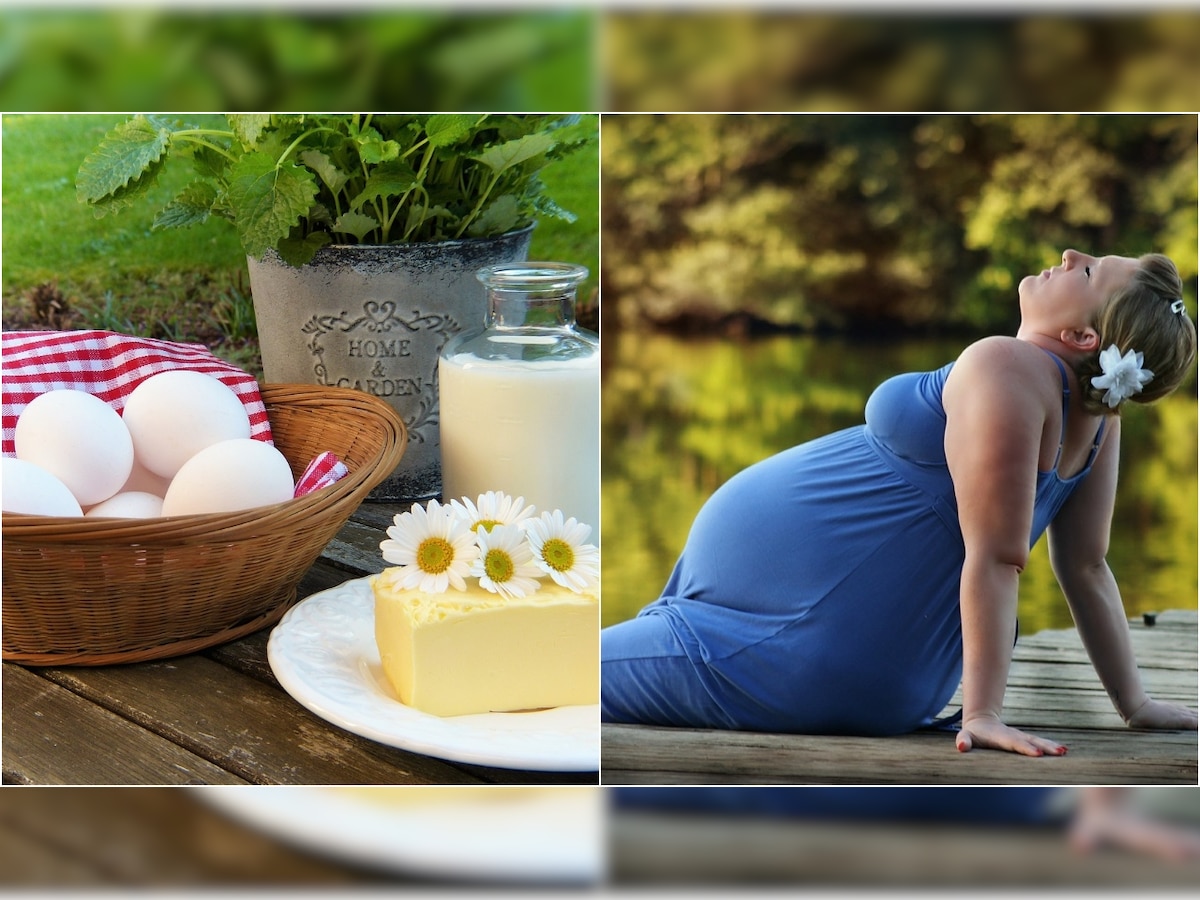 Can Vitamin D rich food help during pregnancy?