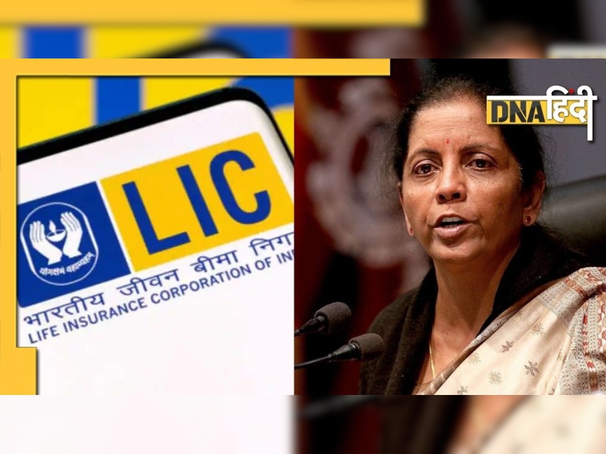 LIC IPO का इंतजार कर रहे निवेशकों को लगा बड़ा झटका, FM ने दिए टालने के संकेत