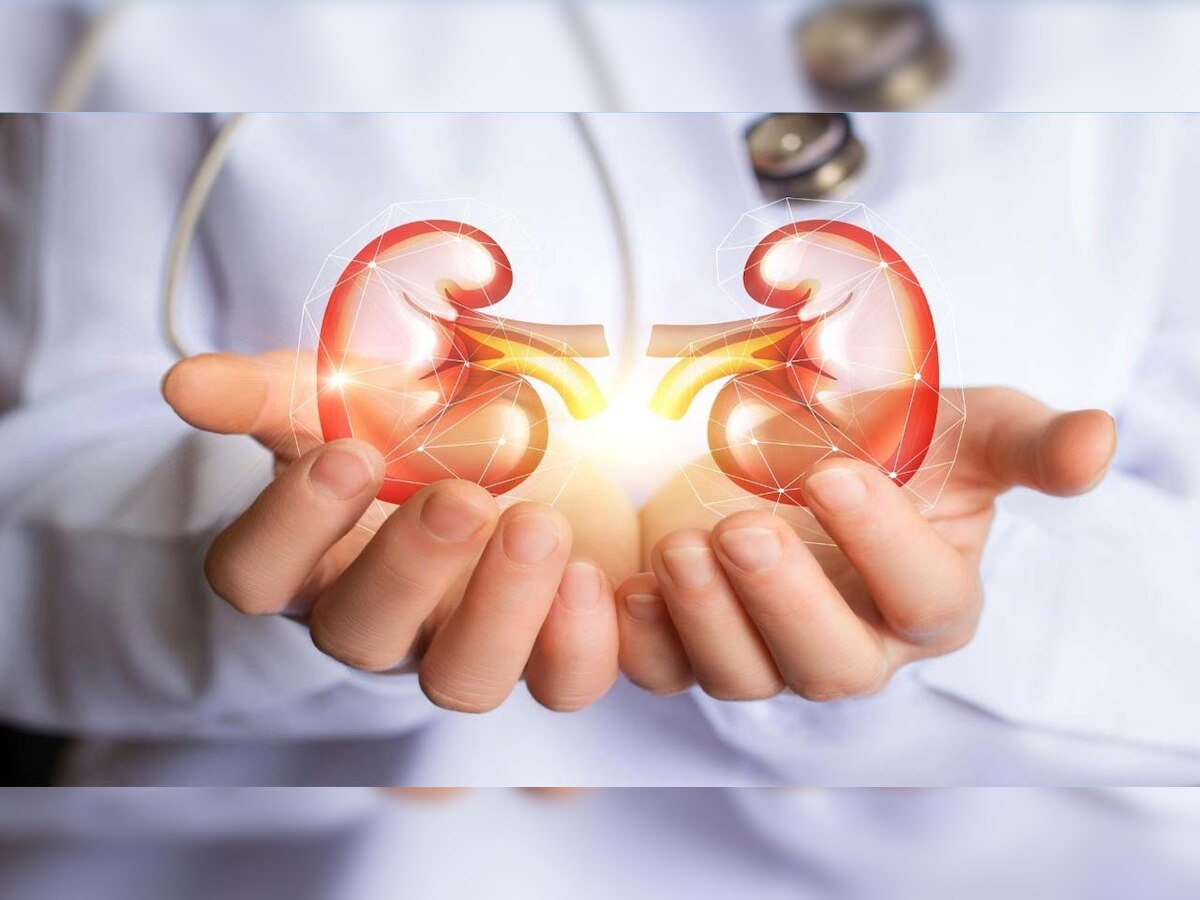 World Kidney Day 2022: Here's how you can keep your kidneys healthy