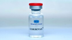 Corbevax - 10 points about India's first RBD protein Covid vaccine for 12-14 years