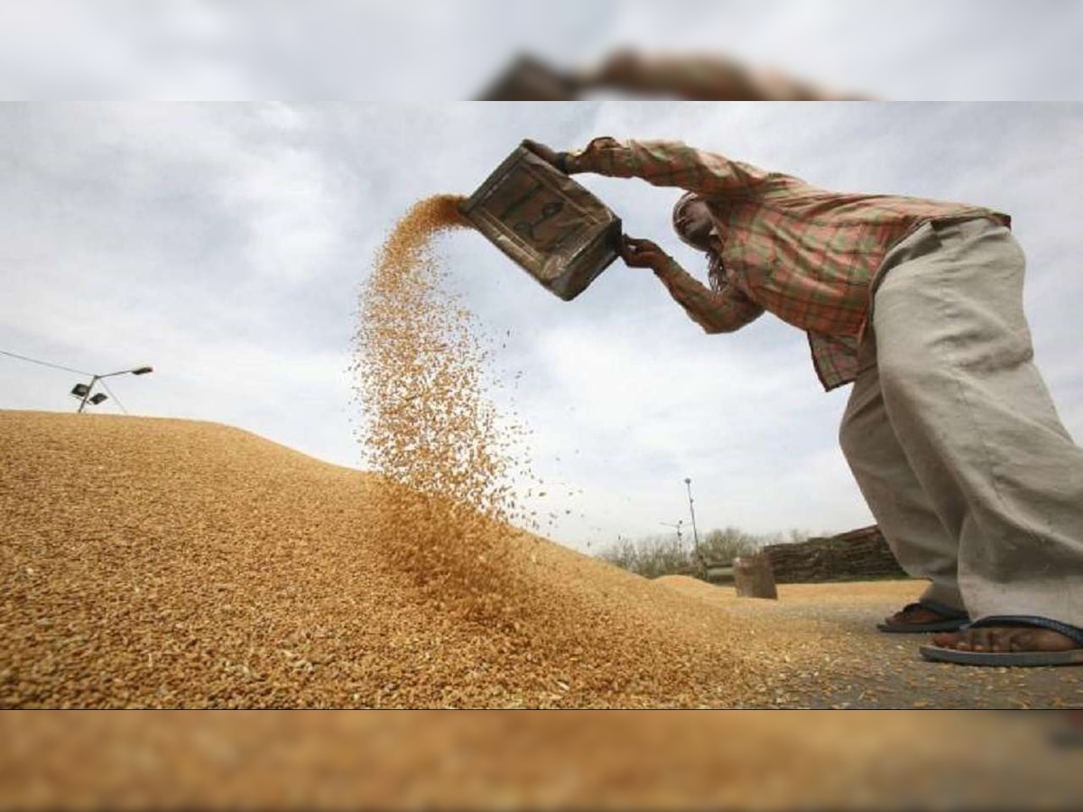 Will India become major global wheat player after sanctions on Russia?