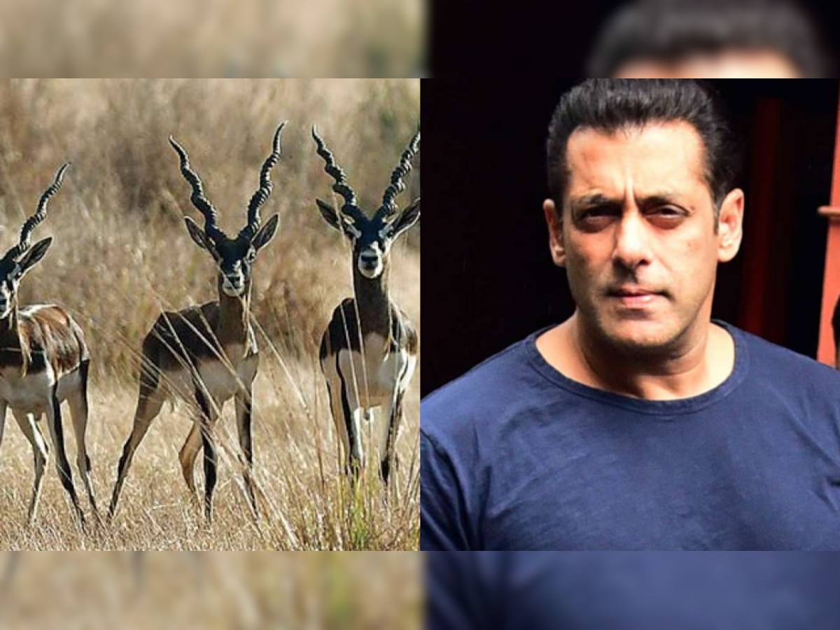 Salman Khan Black Buck case: Rajasthan HC says yes to actor's petition for transfer