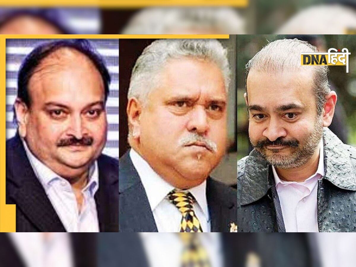 Mallya, Nirav Modi और Choksi के खिलाफ सरकार ने अबतक की क्या कार्रवाई? 