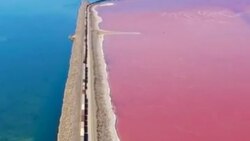 Utah’s Great Salt Lake divides into bright blue and pink colours – Know real reason behind it