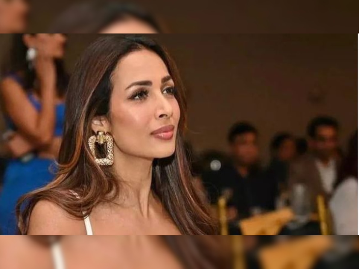 Malaika Arora steals the limelight at US event in gorgeous white dress- Check out