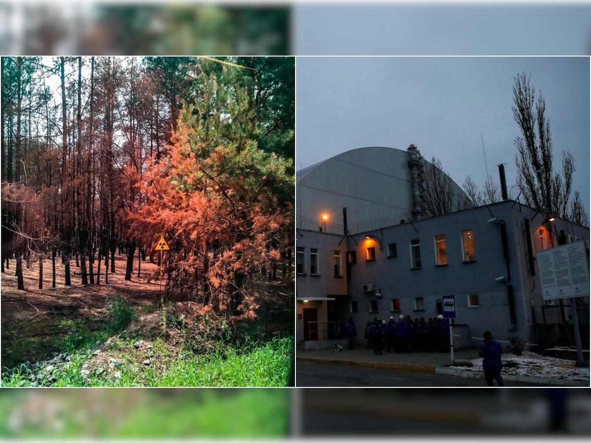 Russian soldiers drove through Chernobyl's highly toxic Red Forest, what it means