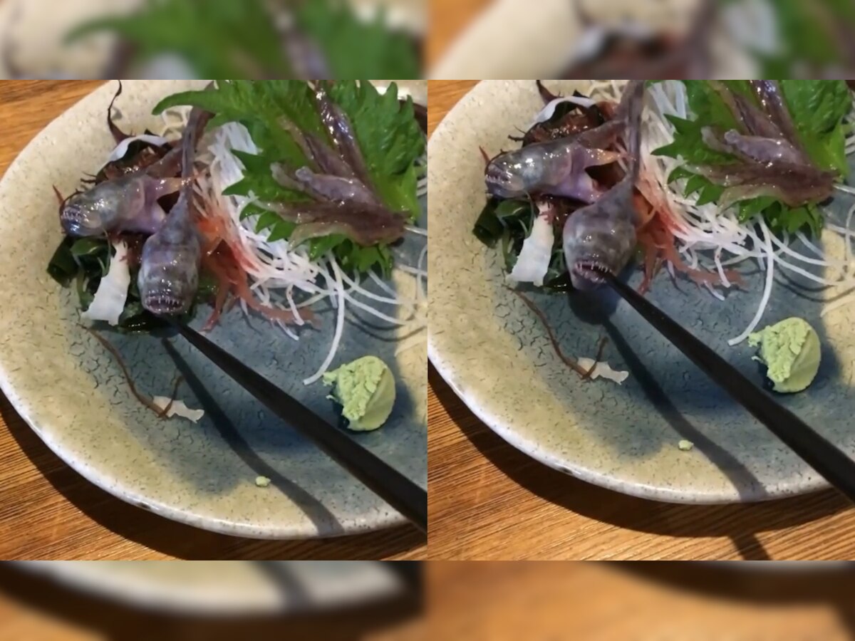 Viral! Fish served as meal comes to life and opens its jaws, WATCH what happened next