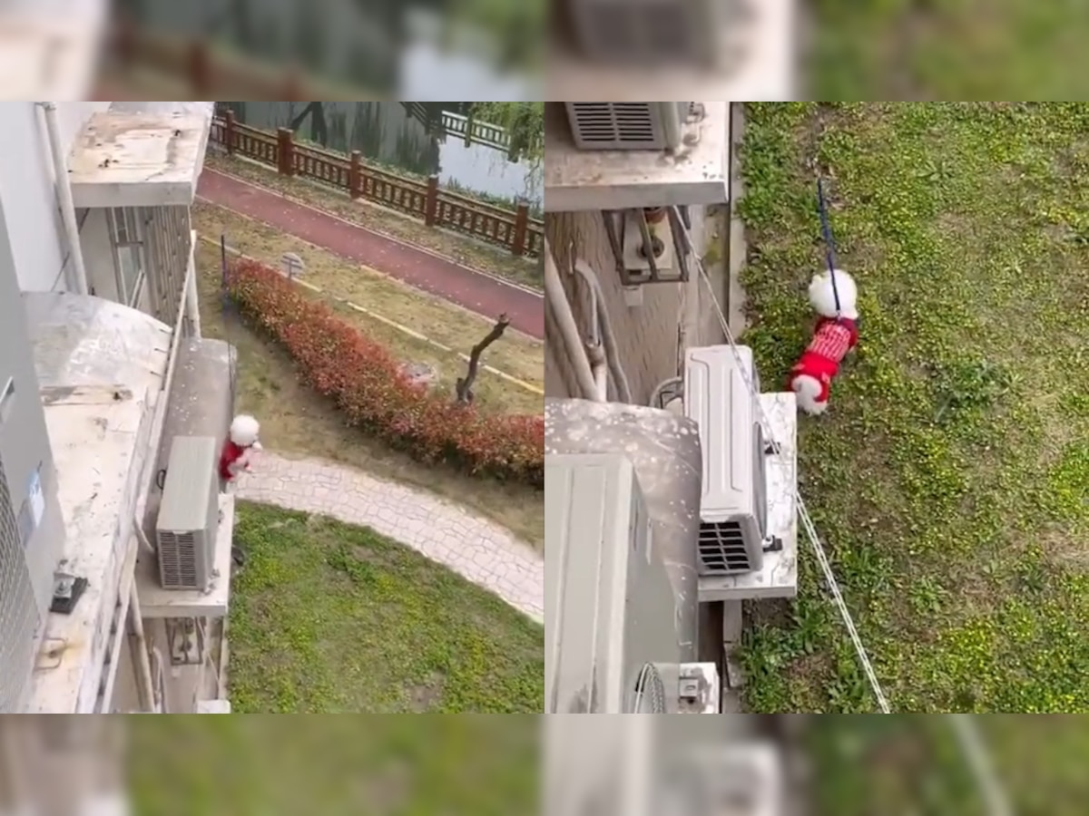 Man walks his dog from 3rd floor window with leash amid lockdown in Shanghai – Viral video  