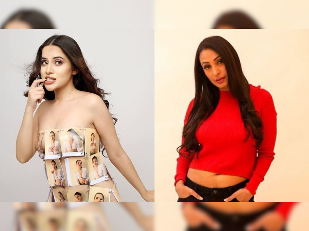 Kashmera Shah gives befitting reply to Urrfii Javed, says 'beti padhao, beti bachao'- WATCH