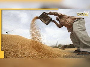 Food Diplomacy के तहत भारत ने  उठाया बड़ा कदम, 4 जरूरतमंद देशों तक पहुंचाएगा भोजन