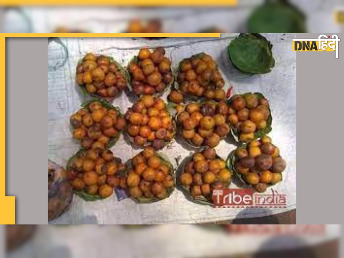 Trees & Life : आदिवासियों के लिए जीवनदायिनी है तिरिल