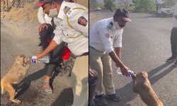 Maharashtra cop offers water to parched monkey in viral video, internet says ‘hats off’ – WATCH