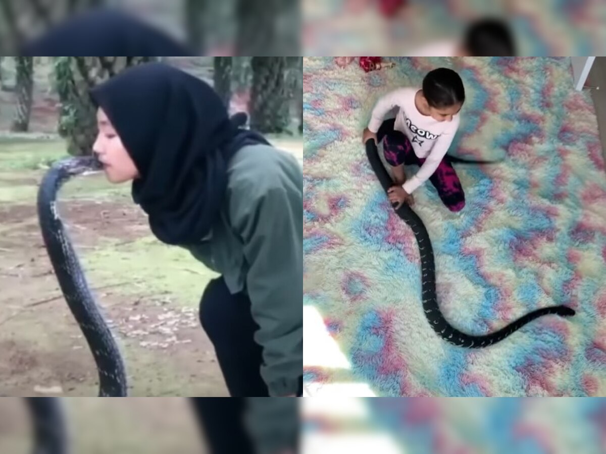 Little girls play with pythons, pet and kiss them in viral video - WATCH