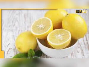 Memory Lane : महंगे नीबूओं के दौर में बगीचे की याद 