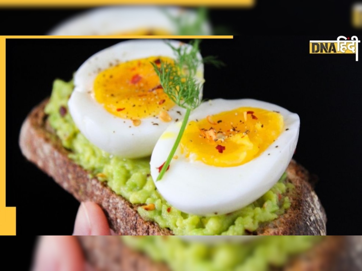 Eggs Disadvantages: ज्यादा अंडा खाना है पसंद? जानें इससे होने वाले नुकसान