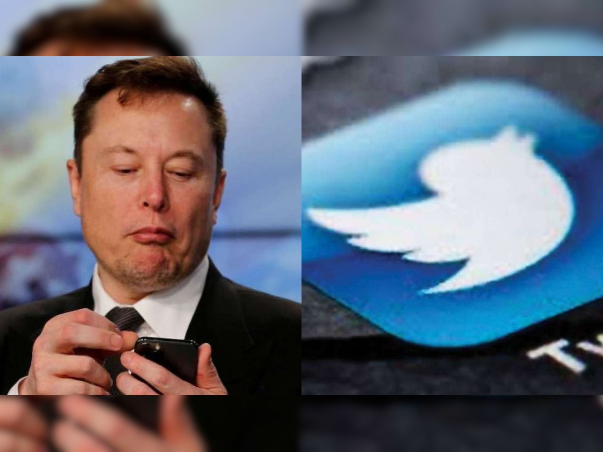 Will Twitter lose the ‘w’ after Elon Musk’s latest poll?