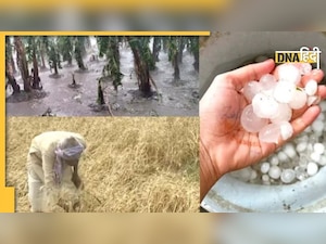 Heatwave: दिल्ली में आसमान बरसा रहा है आग, इस राज्य में बारिश के साथ पड़े ओले, मची तबाही 